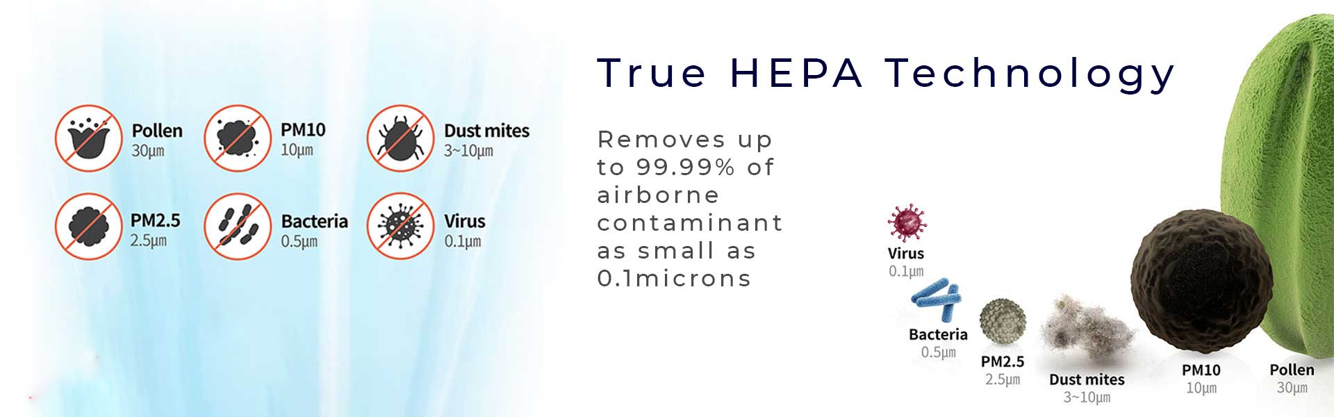 HEPA, Carbon & Fine Filters — Eco Smart International