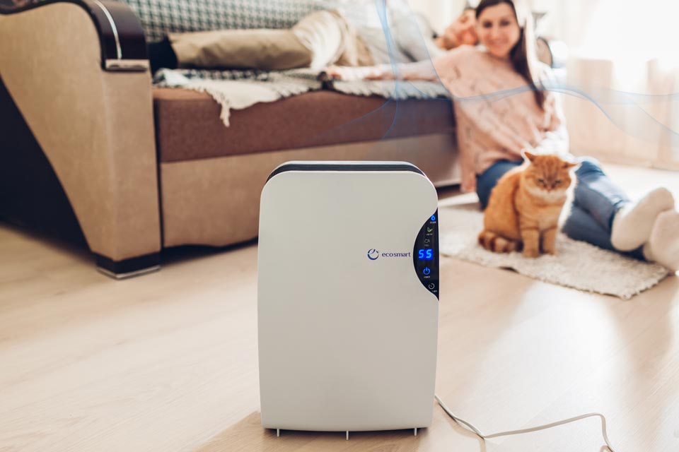 Humidifiers & Dehumidifiers — Eco Smart International