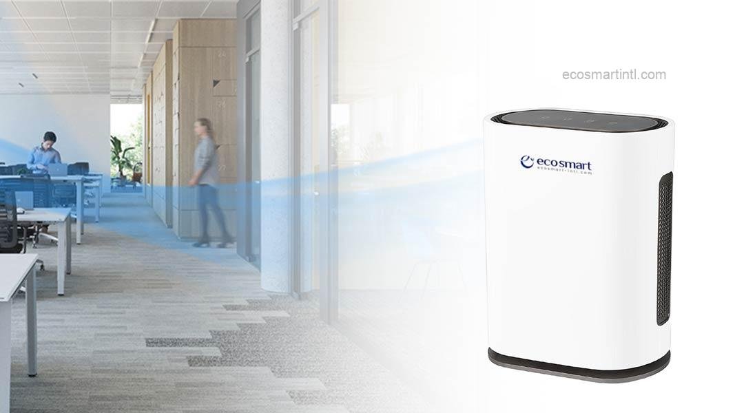 Banner-1—1920×600-ff_cr